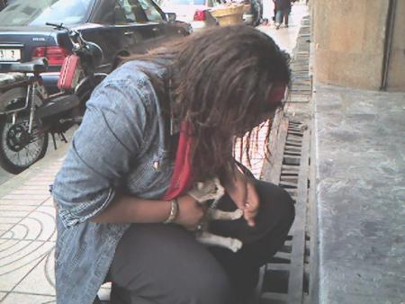 avec une chatte enceinte